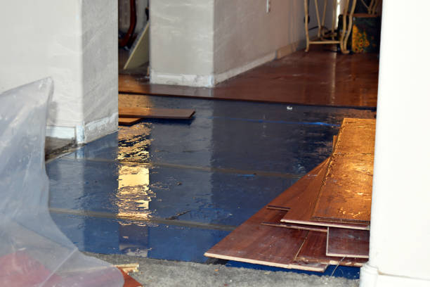 Professional Burst Pipe Water Damage technician working in Bainbridge Island, WA